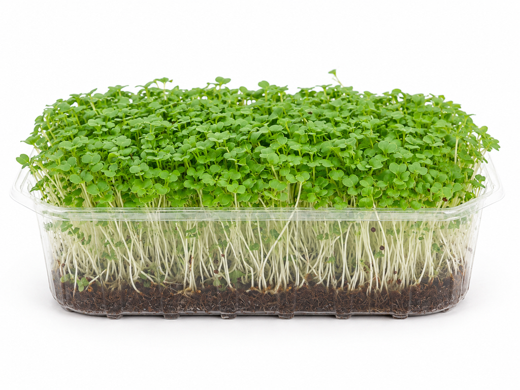 Mikroliście, microgreens