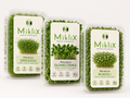 MikliX Green Balance